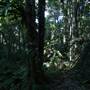 Mount Keira Scout Camp File 1