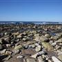 Caves Beach North