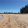 Mona Vale Beach