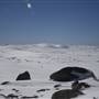 Mount Kosciuszko
