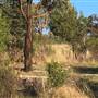 Arakoon Private Property