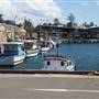 Wollongong - Foreshore and Wharf