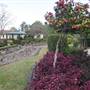 Rookwood Cemetery