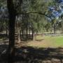 Rookwood Cemetery