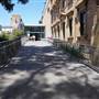 Australian Museum