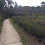 The Gully Walk, Katoomba (formerly Catalina Park)