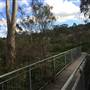 The Gully Walk, Katoomba (formerly Catalina Park)