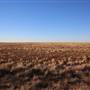 Menindee Road
