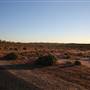 Broken Hill Sculptures Site and Living Desert