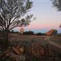 Broken Hill Sculptures Site and Living Desert