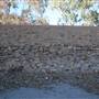 Middle Eastern Looks - Broken Hill