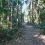 Ardeena - Jungle / Rainforest Private Property