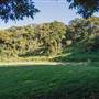 Ardeena - Jungle / Rainforest Private Property