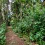 Ardeena - Jungle / Rainforest Private Property