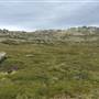 Snowy Mountains - Semi-Dry Steppes