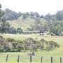 Bega Valley Area