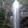 Terania Creek - Waterfalls & Rainforest