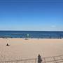 Bondi Beach
