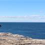 Cape Solander