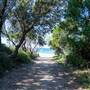 Fingal Head Lighthouse & Coastal Reserve