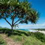 Fingal Head Lighthouse & Coastal Reserve