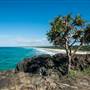 Fingal Head Lighthouse & Coastal Reserve