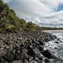 Fingal Head Lighthouse & Coastal Reserve