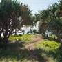 Fingal Head Lighthouse & Coastal Reserve