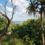 Fingal Head Lighthouse & Coastal Reserve