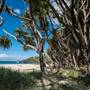 Fingal Head Lighthouse & Coastal Reserve