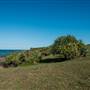 Hastings Point