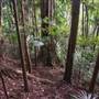 Tunsted Private Property Crystal Creek Valley