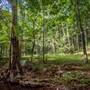 Tunsted Private Property Crystal Creek Valley