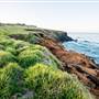 Lennox Head
