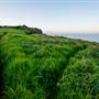 Lennox Head