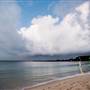 Hickey Island - Yamba