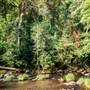 Killen Falls