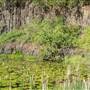 Island Quarry
