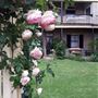 Private House - Blacktown