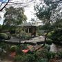 Japanese Gardens and Teahouse - Campbelltown