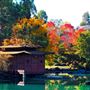 Japanese Garden - Auburn Botanic Gardens