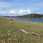 Lake Glenbawn