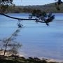 Manly Dam & Reservoir