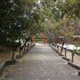 Auburn Botanic Gardens - Japanese Garden