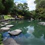 Auburn Botanic Gardens - Japanese Garden