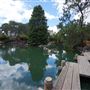 Auburn Botanic Gardens - Japanese Garden