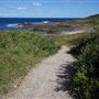 Bass Point Reserve