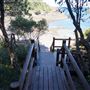 Bass Point Reserve
