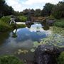 Edogawa Japanese Garden