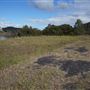 Peat Island